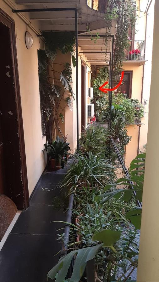 Charme De Rome Vatican Apartment ภายนอก รูปภาพ